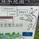 오션월드 PC게임방 | 취업 + 혼자 후쿠오카 가기