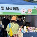 펫츠런 애견 이미지