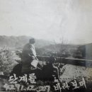 신등면사무소 이미지