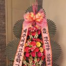 제주여자중학교 이미지