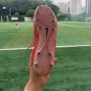 중랑구립축구장 잔디상태 어떨까? 2026년 직접 뛰어본 아침경기 후기, 주차정보 포함