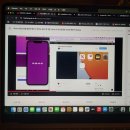 패스트캠퍼스 ReactNative를 활용한 빠르고 완성도 높은 앱개발 수강 후기