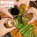 소사농장 | 부천 소사맛집 팽오리농장 역곡 소사직영점 오리주물럭 먹고 온 후기