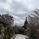 경인목욕탕 | [효도여행] 부모님과 묵기 좋은 유후인 료칸ㅣ오야도 이치젠 객실 타입 비교 &amp; 후기