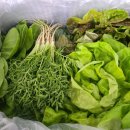 미리네농장 이미지