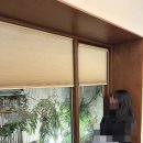 가위스토커 - 수영구 광일로 25-1 | [성신여대 미용실/가위스토커 2호점] 인생 첫 단발 후기
