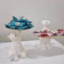 무광프라자 | 깔끔하고 쾌적한 플랜트스터디카페 당동점 후기