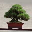 공산중학교 이미지