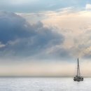 나를품개 이미지