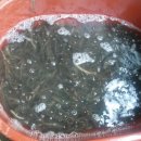 축령산 농장 이미지