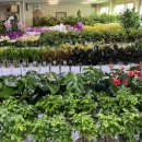 승진농장2 이미지