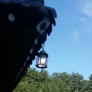 생활명리학 이미지