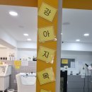 뽀송하개 이미지