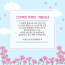 더버드 | 💍스튜디오 20. 버드투블룸 셀렉 후기