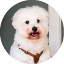 째즈바 영업종료 이미지