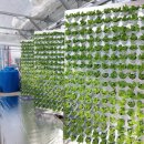 진정2농장 이미지