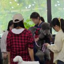 건강하게동물병원 이미지