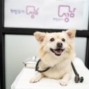 성남동물병원 이미지