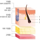 서울미보약국 | 미보연고 효과 사용법 약국 화상연고 가격 비교
