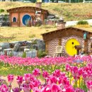 독죽제2세천 | 대구 꽃구경 가볼만한곳 세천늪테마공원 튤립 데이트 코스는 여기