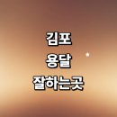 김포시 근처 화물용달 잘하는곳 추천 전문업체 용달...렌트 침대 견적 운송 소형 후기 퀵서비스 가격 대여