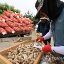 대정농업협동조합 농산물산지유통센터 이미지