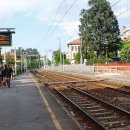 에스에이케이 이미지