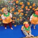 윤재농장 이미지