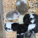 노원-상계-2276 이미지