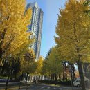 신한은행 26년도 운세 이미지