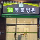 우리집앞동물병원 이미지