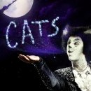(공연) 캣츠 오리지널 내한공연3 이미지
