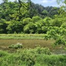 오래캠핑장 이미지