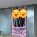 천상모모 | 8급 교행일기 25년 4월 몇주차더라 / 쪼렙집모임, 워크숍, 멀미, 박보검을 내가 찼어, 피자 먹었어요