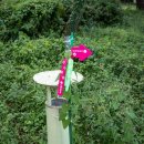 서상농협하나로마트 이미지