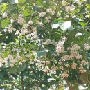 샛터근린공원 이미지