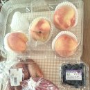 늘푸른수지 이미지