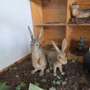 과학마을로(중로1-259) | 진짜 화석이 있는 파주 공룡박물관 솔직 후기 : 공룡 박사 아들과 주말 나들┃아이와 파주 가볼만한곳...