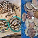 솔숲펜션 이미지