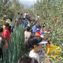 영주유치원 이미지