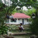 뽕나무집 이미지