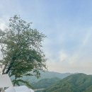 미라실로 이미지