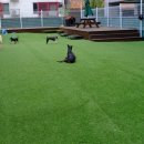 프로네앞마당 이미지