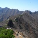 [진경수의 자연에서 배우는 삶의 여행] 닭의 볏을 쓴 용 닮은 靈山 ‘계룡산’ 이미지