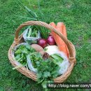 일도농장 이미지