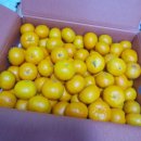 현승농장 이미지