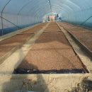 김종군농장 이미지