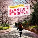 능포초등학교 | 거제 벚꽃 명소 장승포해안도로! 봄여행 필수코스