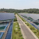 평화 태양광발전소 이미지