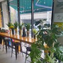 대박 빨래방 | 천안 두정동 컨비니언스 패딩 셀프빨래방